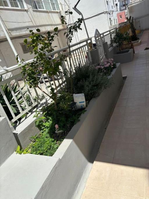 House Rosi In Rodos