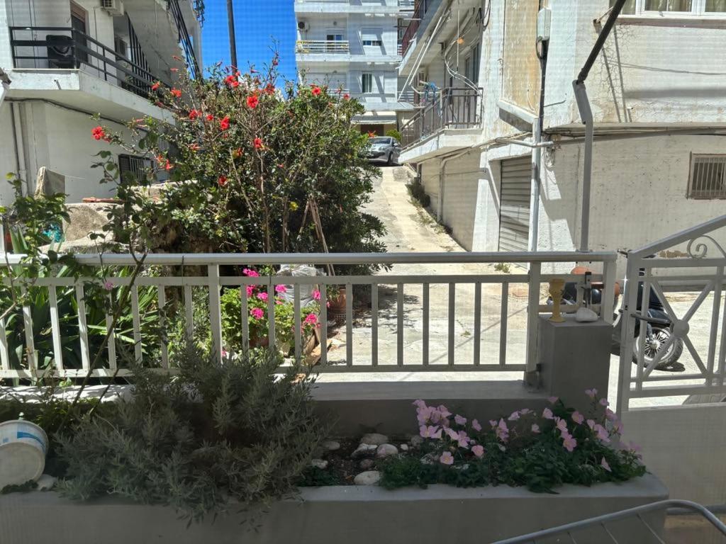 House Rosi In Rodos * Rhodes City